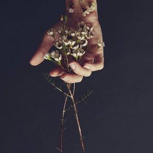 Meet your Posher, Shuyu