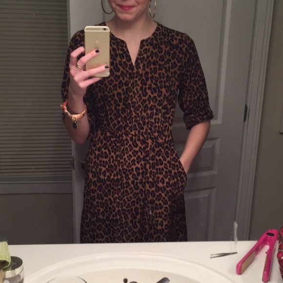 Animal Print Dress - Picture 3 of 3