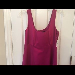 Reduced Sutton Studio A-Line Magenta Dress