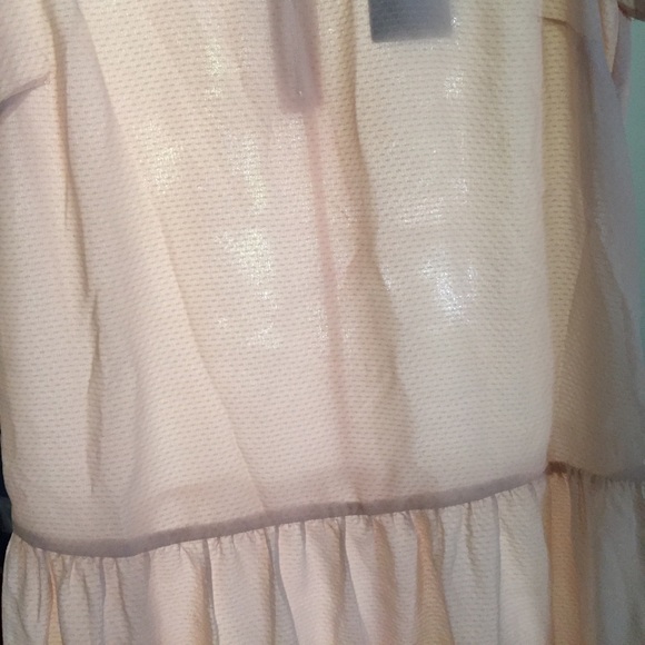 Sheer Peach Dress - Picture 7 of 8