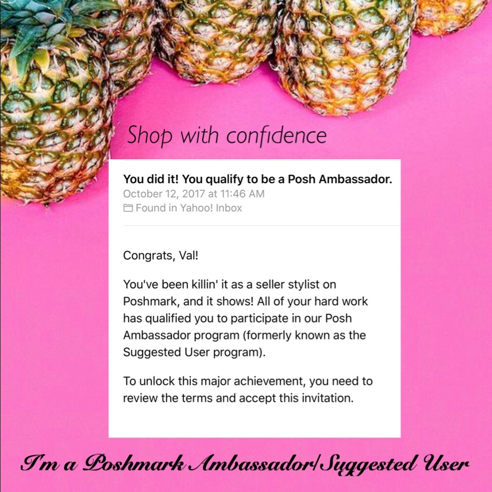Ambassador/Suggested User Program