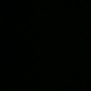 Meet your Posher, Titus