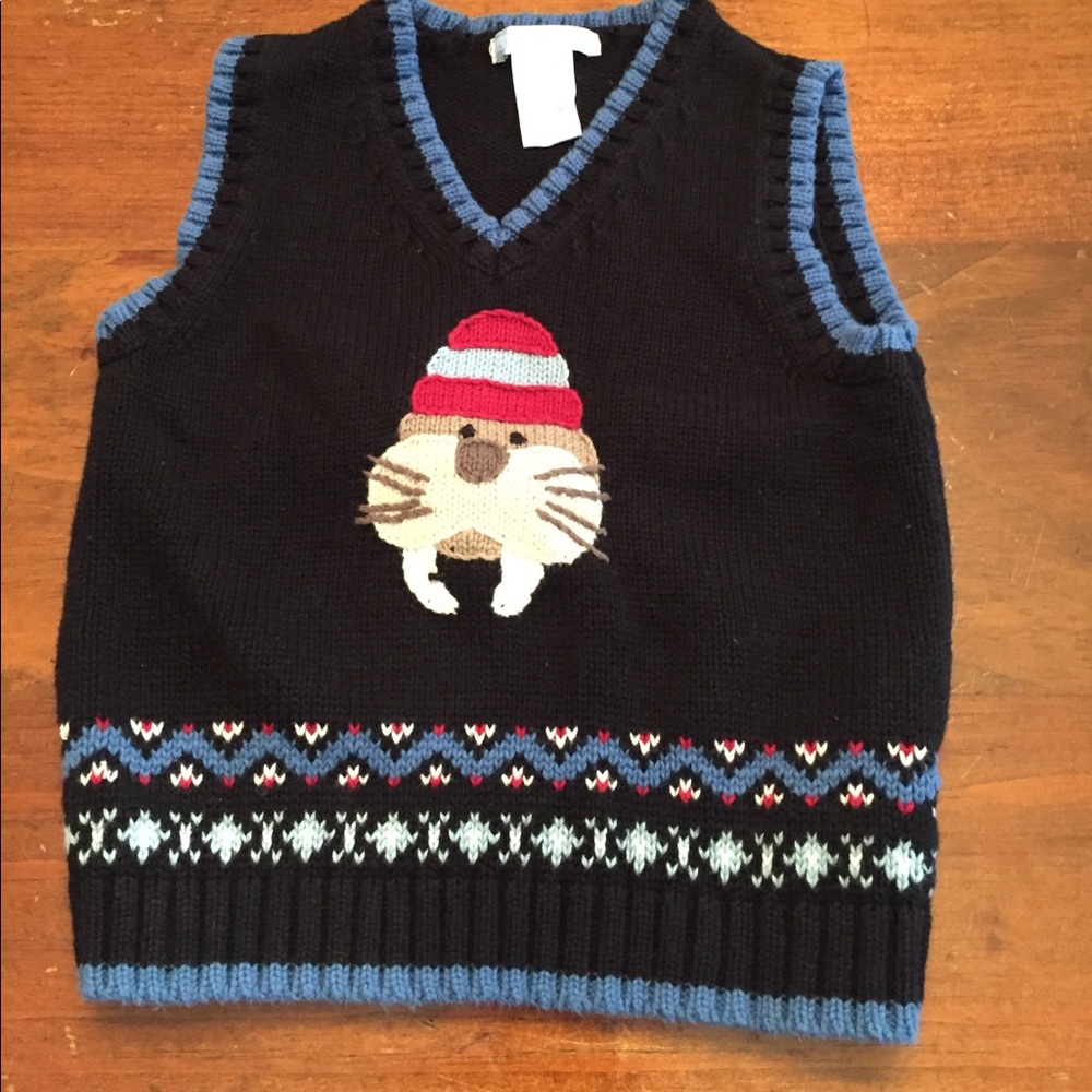 Holiday sweater vest