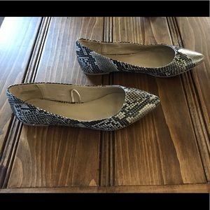 Express Flats