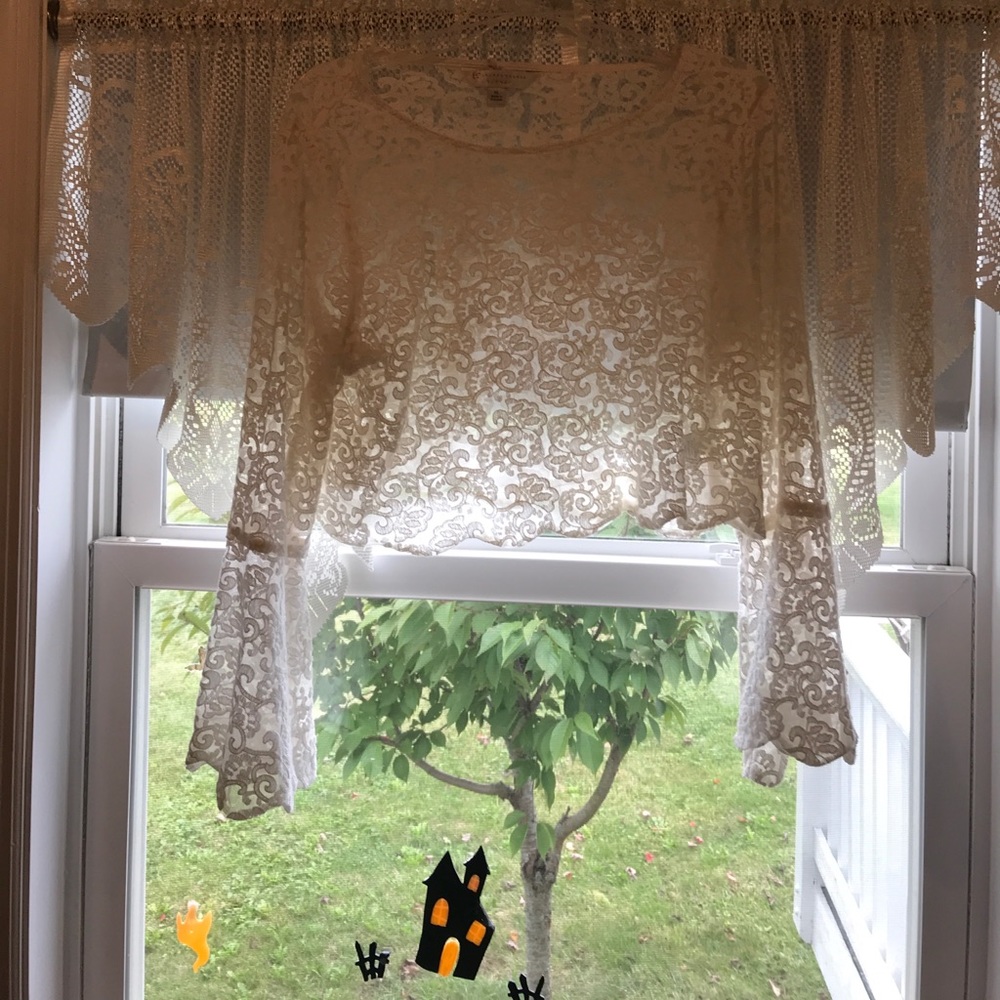 Lauren Conrad Lace Crop Top Size XL bell sleeves