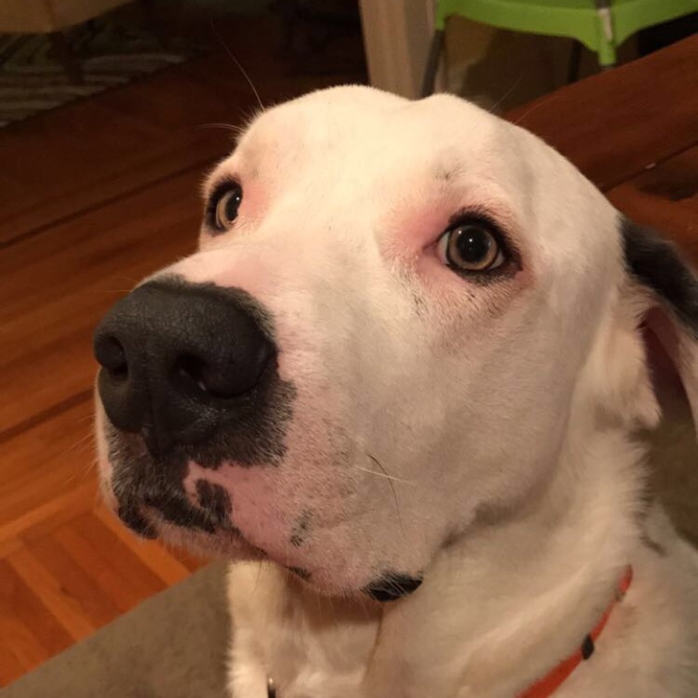 Meet your Posher, Clare