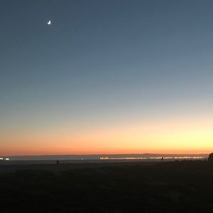 Meet your Posher, Giselle