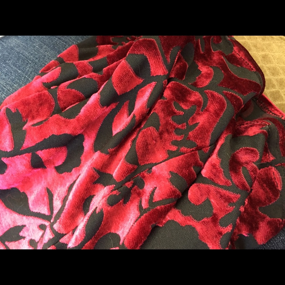 90’s kitten crimson burnout velvet dress - Picture 8 of 8