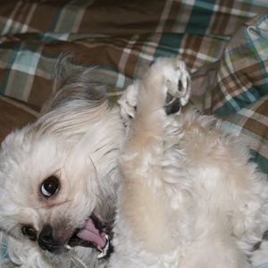 Meet your Posher, Kari