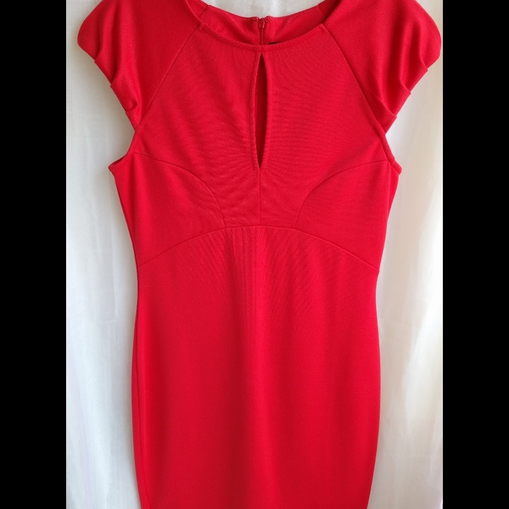 Kardashian Kollection Fall 2013 Fitted Dress