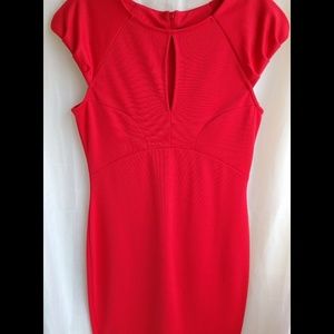 Kardashian Kollection Fall 2013 Fitted Dress