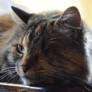 Meet your Posher, Evan