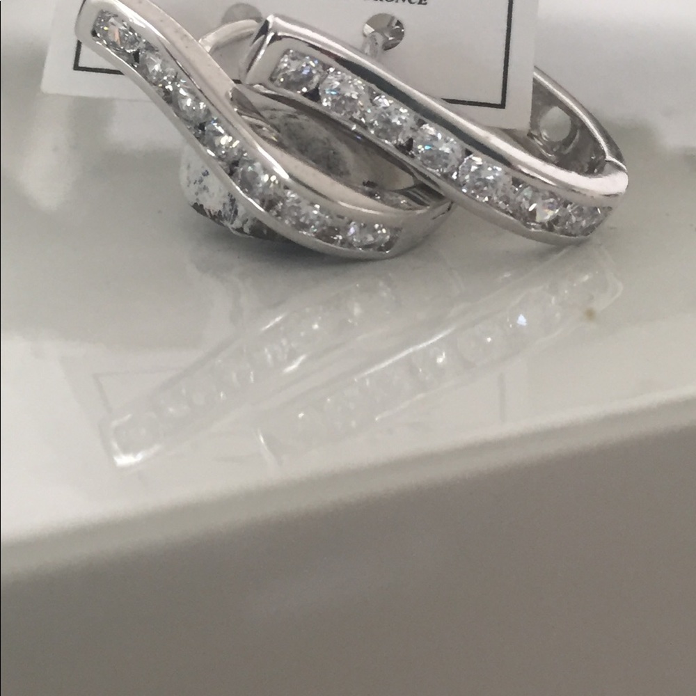 Stainless Steel Earring. Brand new