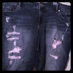 Blue Jean Shorts with Rips from Torrid