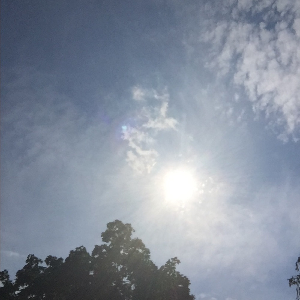 Meet your Posher, Cynthia