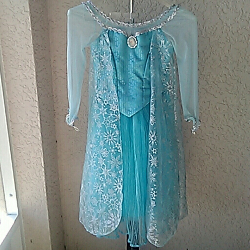 Disney  princess Elsa costume