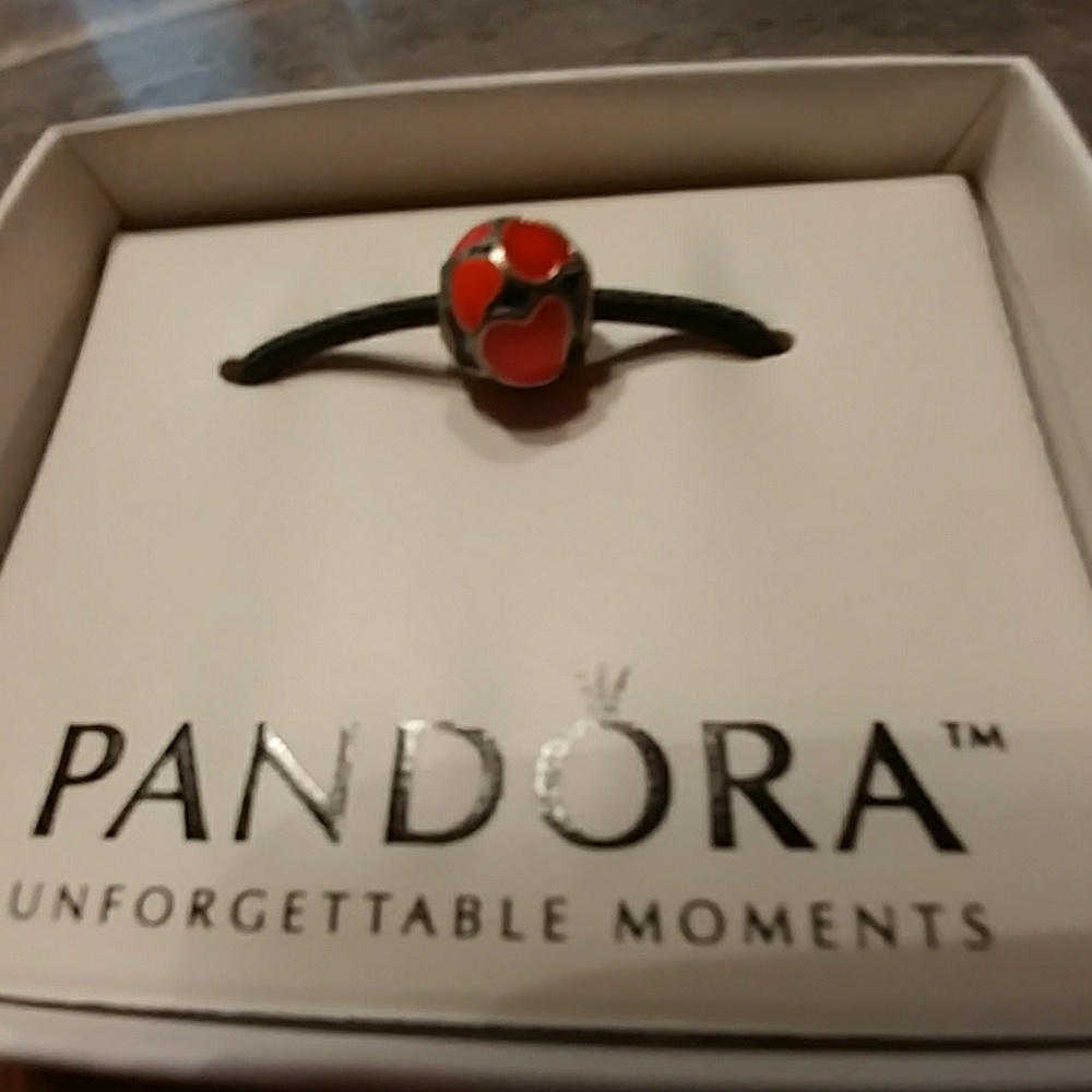 Pandora charm
