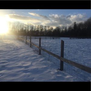 Meet your Posher, Eileen