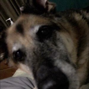 Meet your Posher, Luke