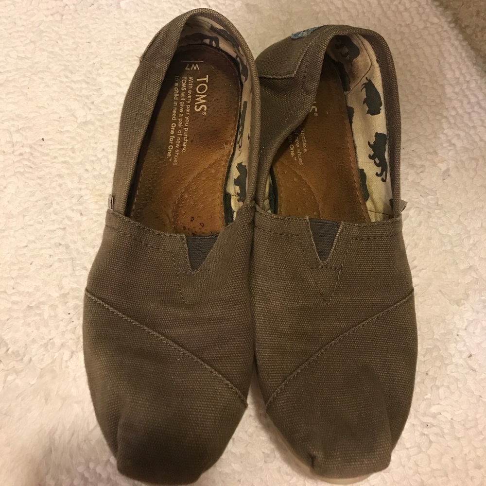 Grey Toms