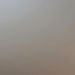 Meet your Posher, Sandy