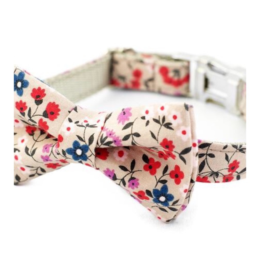 Dog bow tie collar