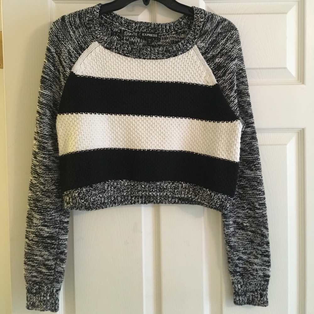 Express Sweater (cropped)
