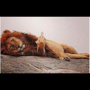 Meet your Posher, Calvin