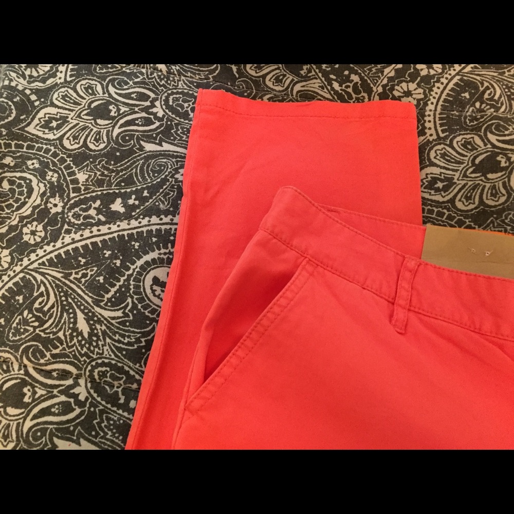 Pants - Picture 5 of 5