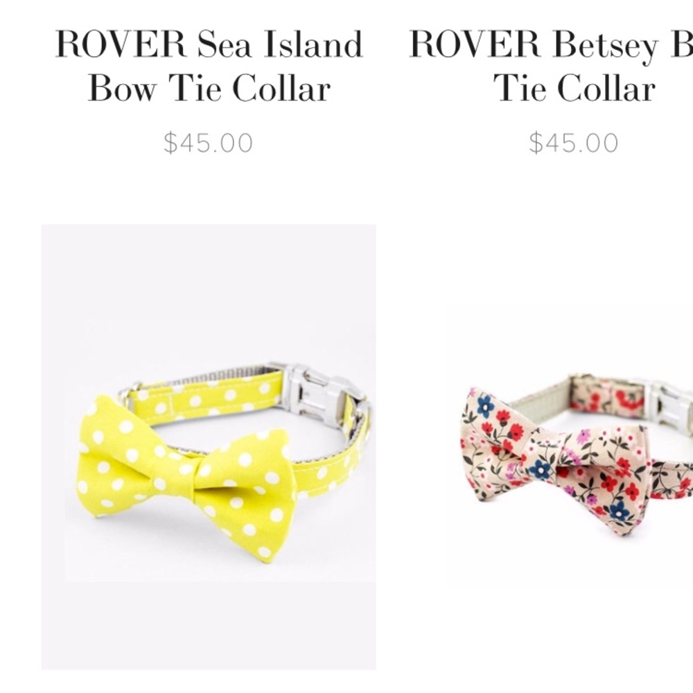 Brand new bow tie dog collar