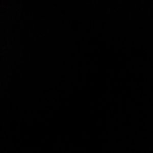 Meet your Posher, Bruce