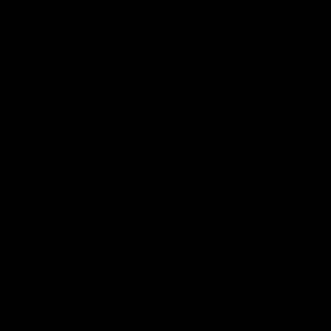 Meet your Posher, Niaya