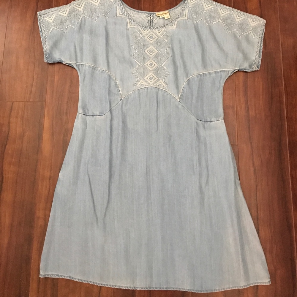 Chambray Holding Horses Dress