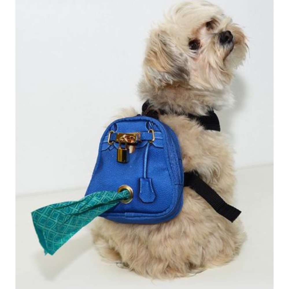Backpack for your dog