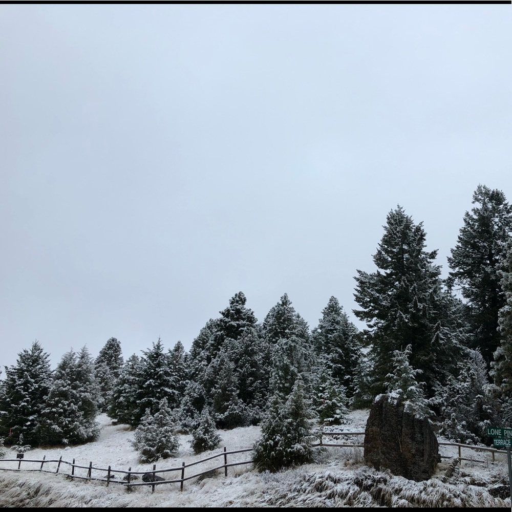 Meet your Posher, Macie