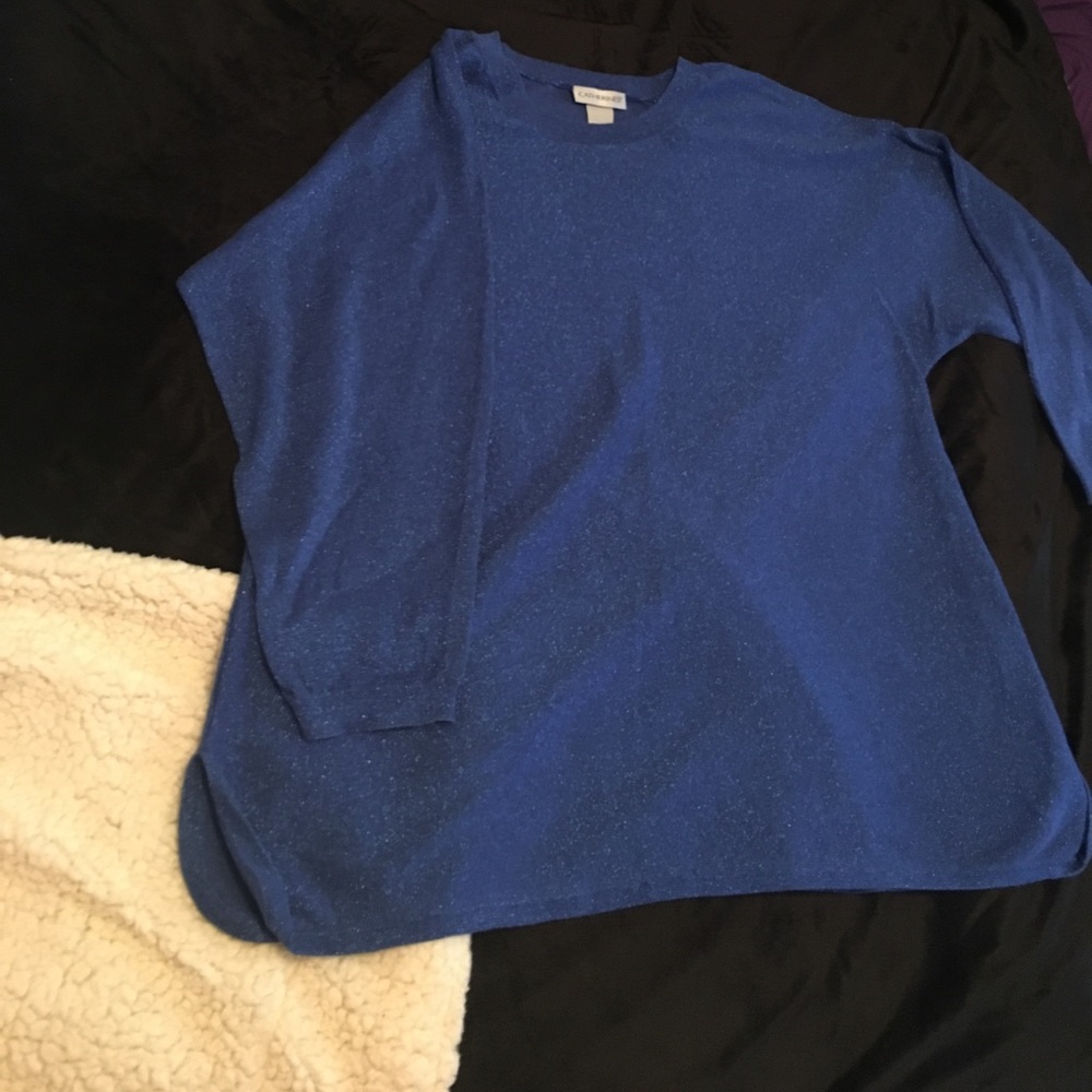 Sparkly sweater
