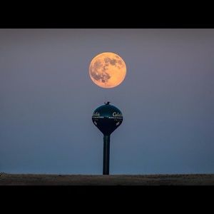 Meet your Posher, Allen