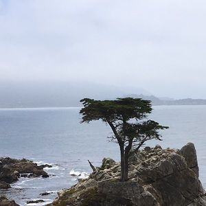 Meet your Posher, Corey