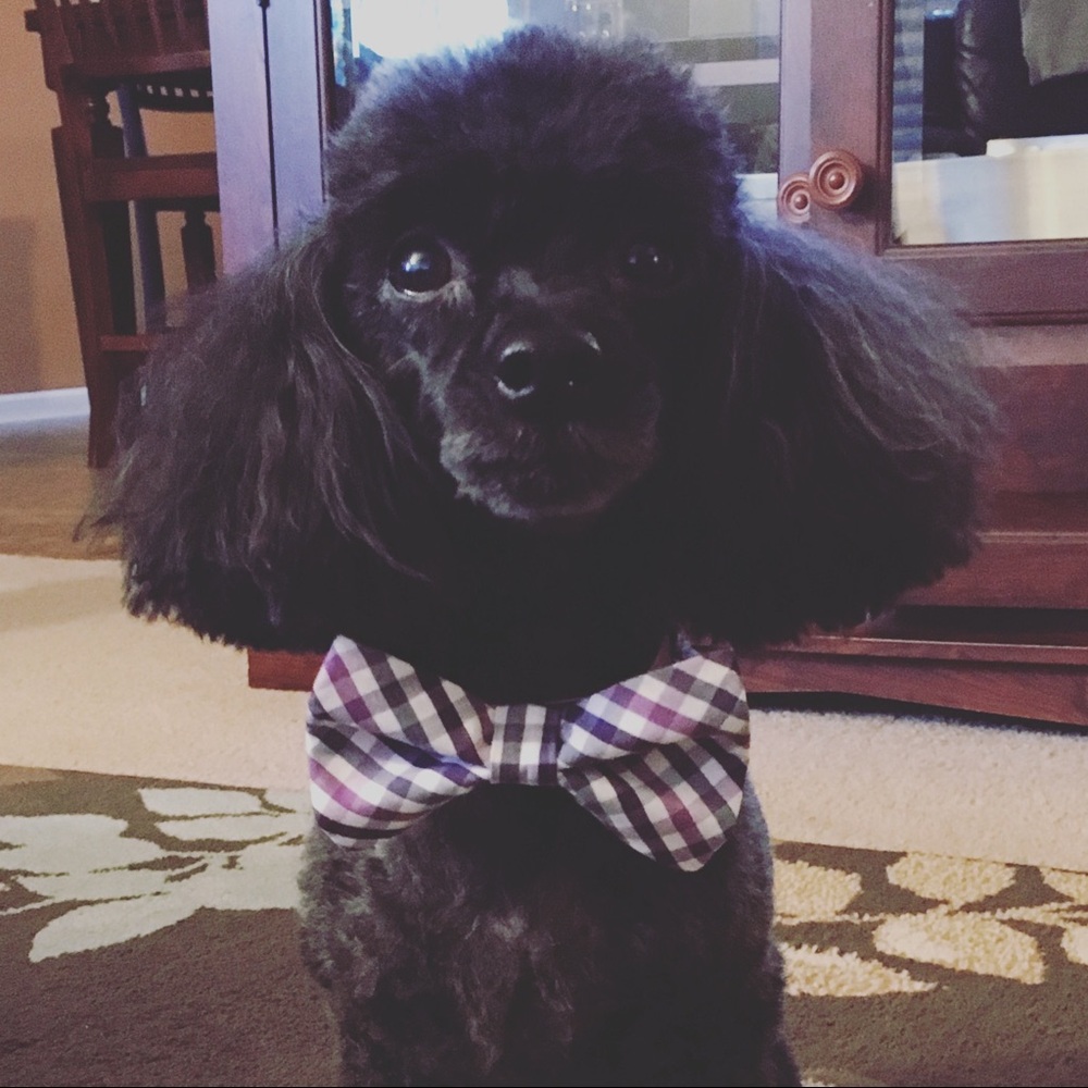 Meet your Posher, Kayla