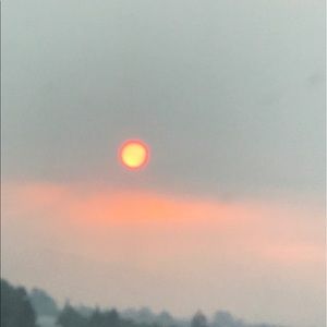 Meet your Posher, Barbie