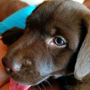 Meet your Posher, Tracey