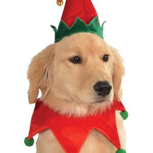 Meet your Posher, Jacky