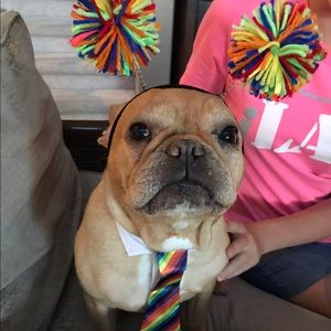 Meet your Posher, Joy