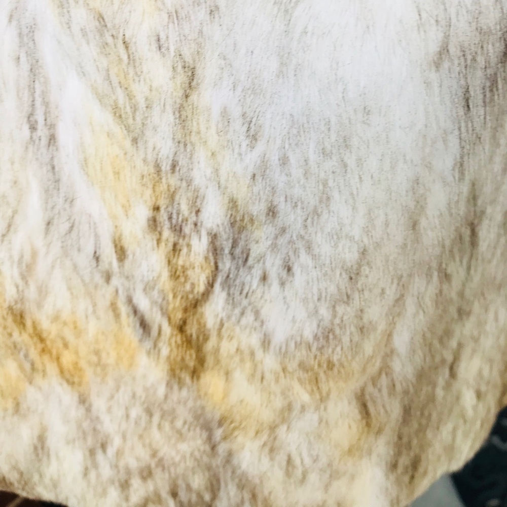 Authentic Rabbit Fur Jacket - Picture 6 of 8
