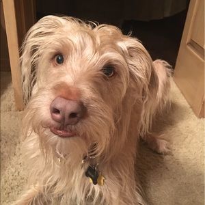 Meet your Posher, Roberta