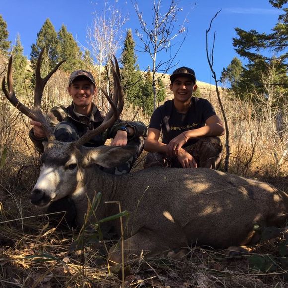 Meet your Posher, Matthew - Picture 1 of 1