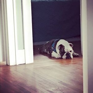 Meet your Posher, Stacy