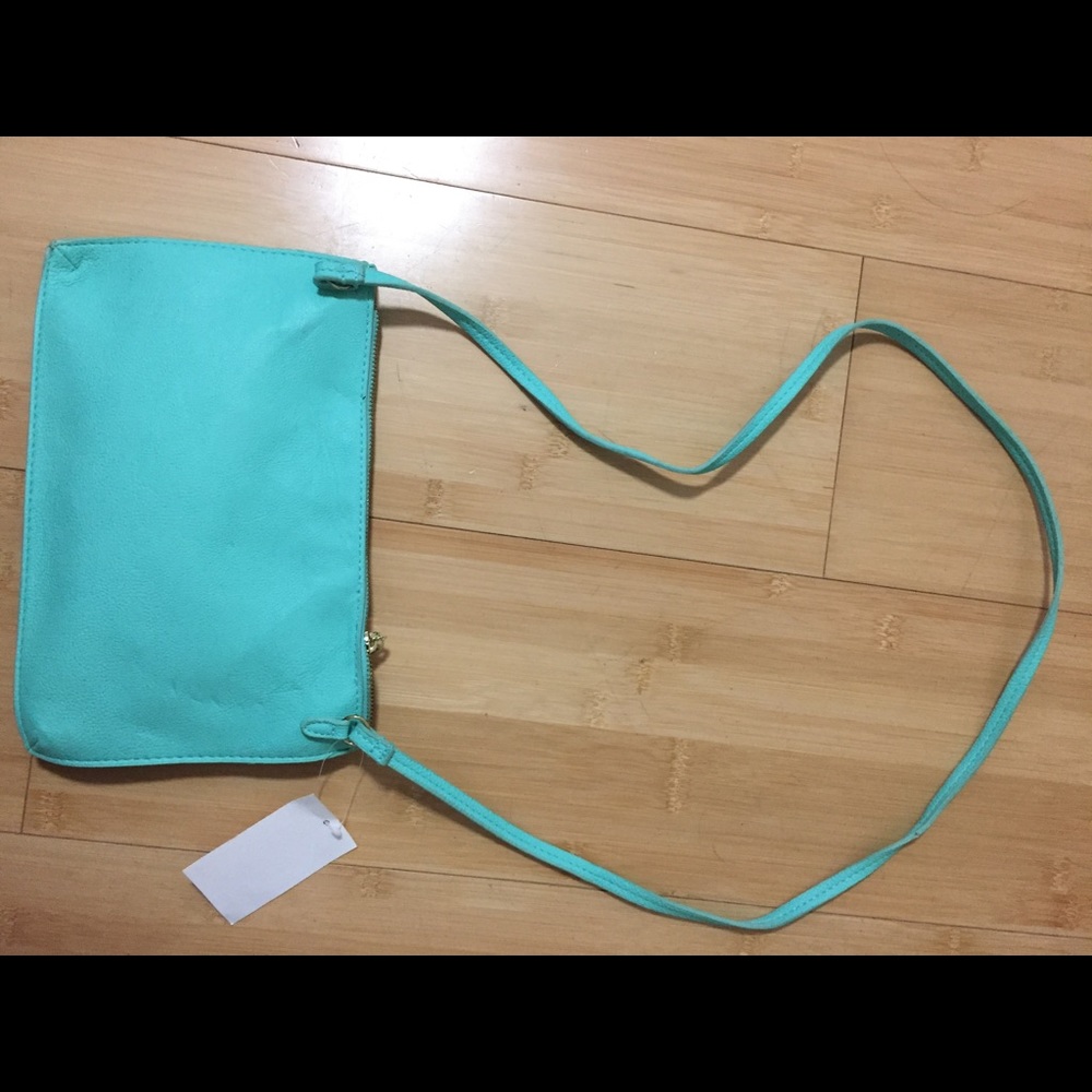 Turquoise purse
