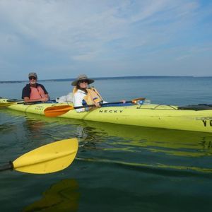 Meet your Posher, Dawn