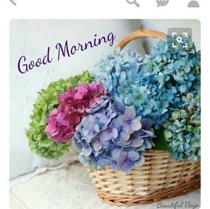 Meet your Posher, Theresa